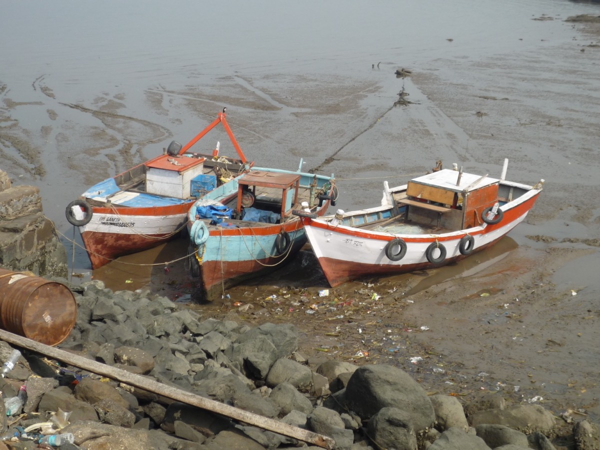 Elephanta caves67